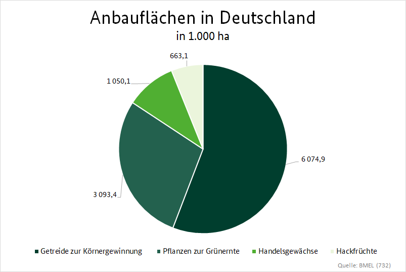 Kreisdiagramm zur Anbaufläche in Deutschland in 1.000 ha. Getreide zur Körnergewinnung 6.075; Pflanzen zur Grünernte 3.093; Handelsgewächse 1.050; Hackfrücht 663.