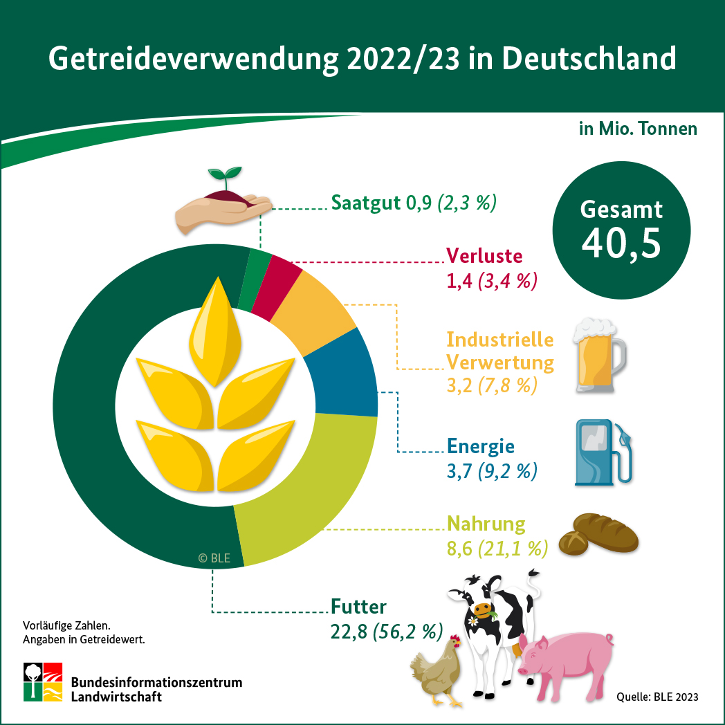 Infografik: Getreideverwendung 2022/23 in Deutschland