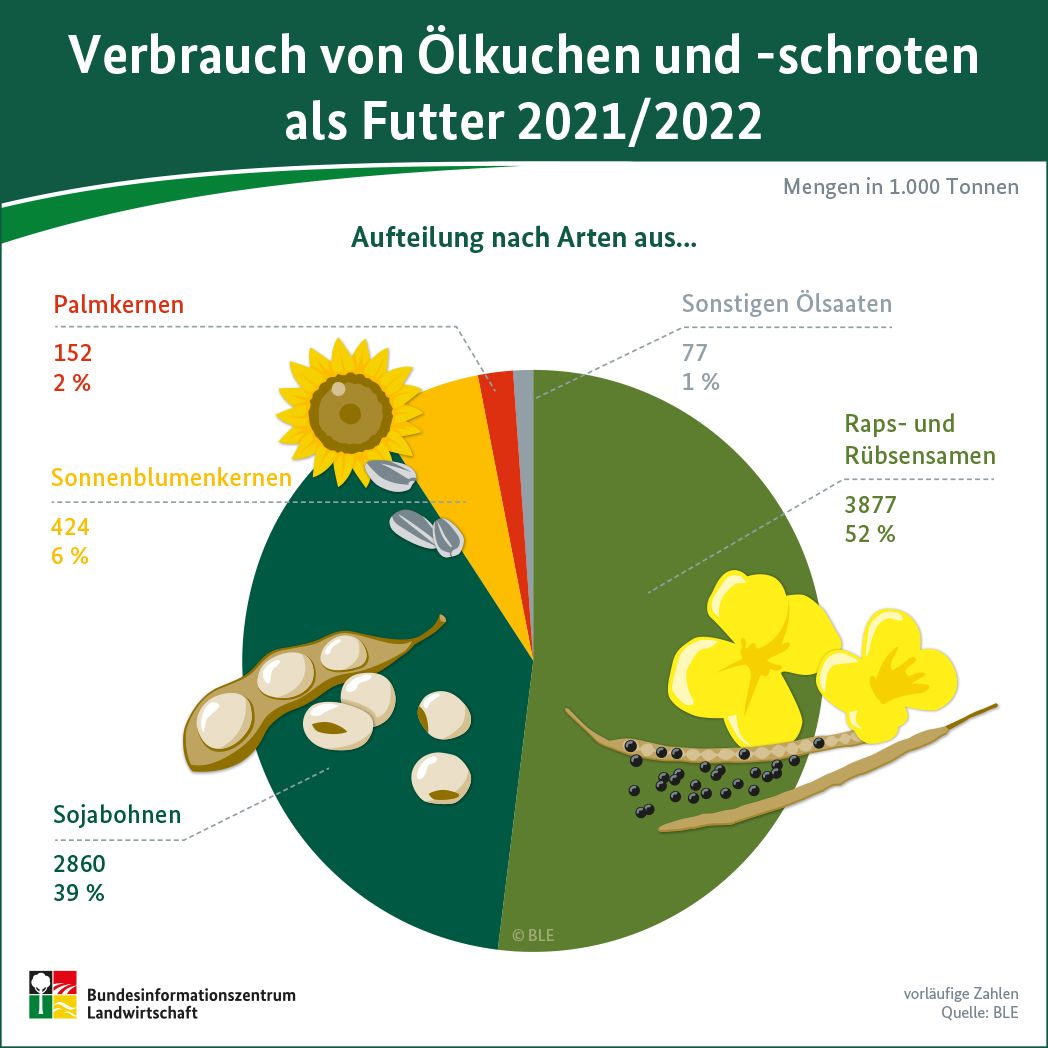 Infografik: Verbrauch von Ölschroten und - kuchen als Futtermittel 2021/22