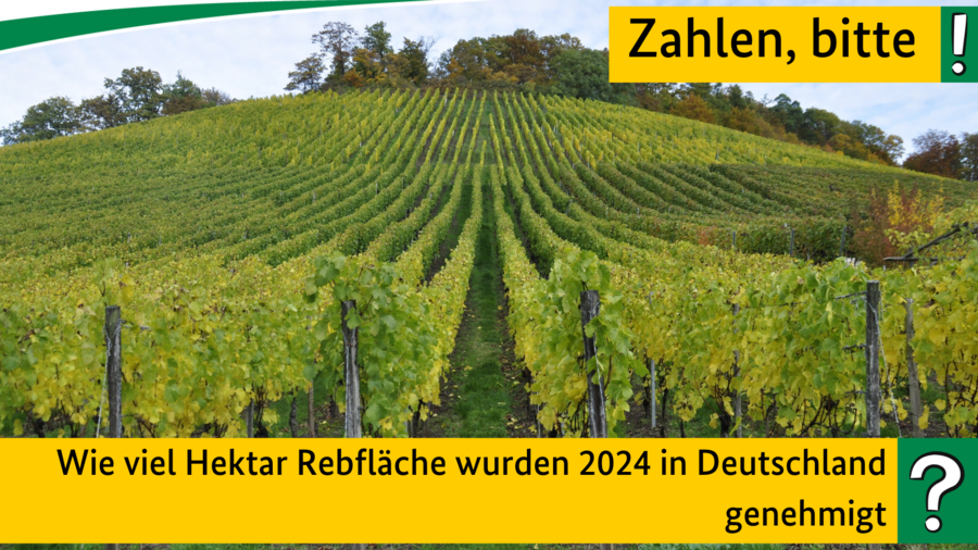 Quiz Juli 2024
