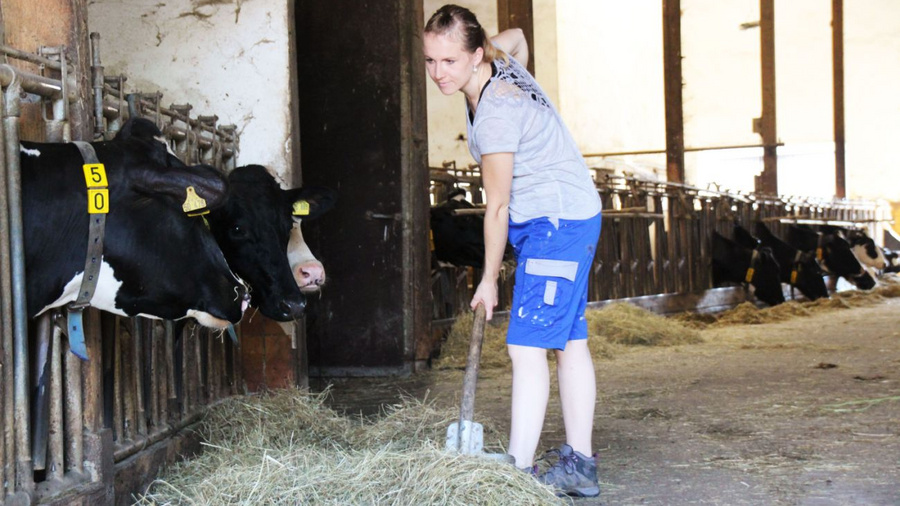 Landwirtin als Arbeitskraft in einem Kuhstall