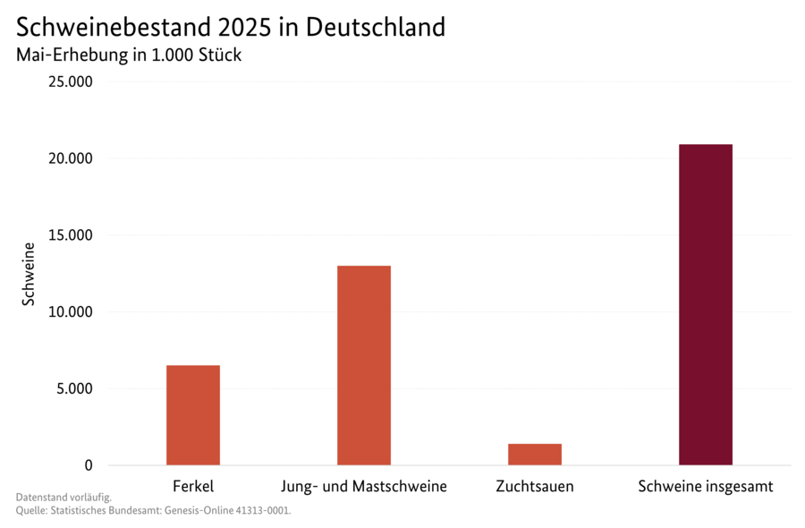 Säulendiagramm: Schweinebestand in Deutschland (Mai-Erhebung). Datenquelle: Tabelle 3101300.