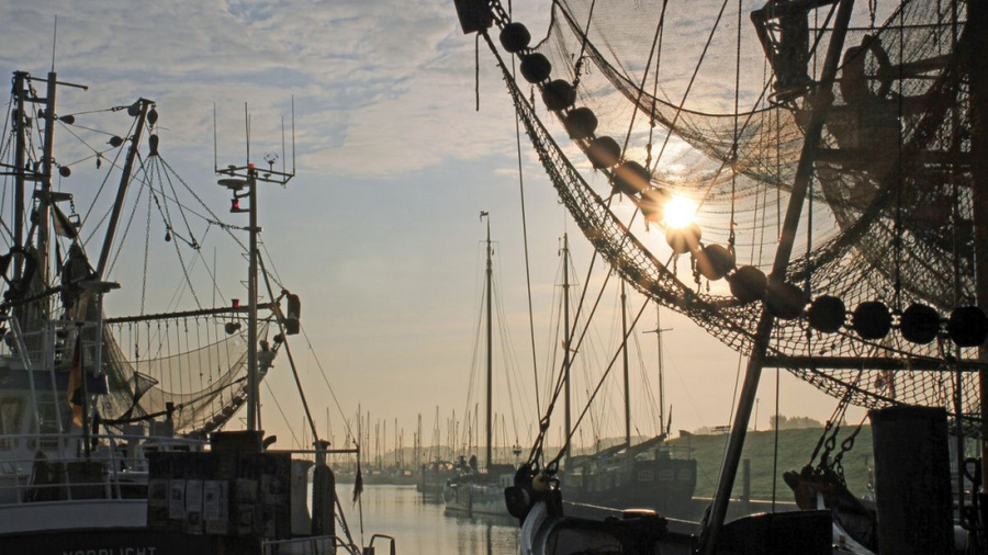 Fischerboote