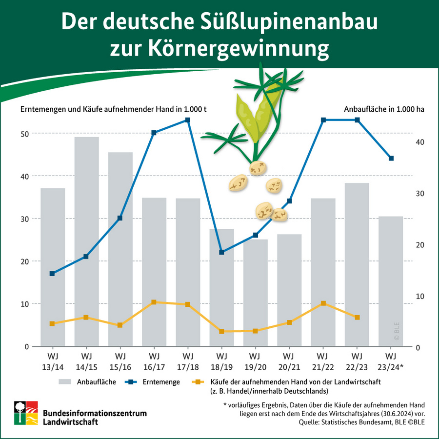 Infografik: Der deutsche Süßlupinenanbau zur Körnergewinnung