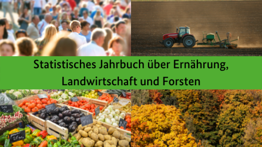Vier Bilder: Traktor auf dem Feld, Menschen, Gemüse im Supermarkt und Wald