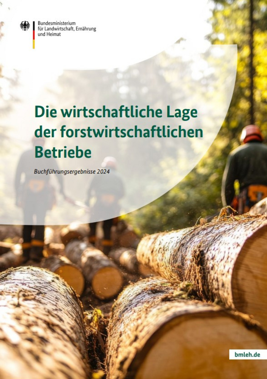 Broschüre: Die wirtschaftliche Lage der forstwirtschaftlichen Betriebe 2024