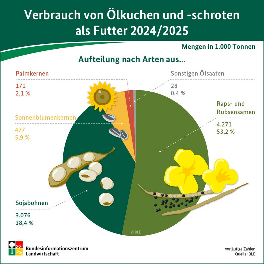 Infografik: Verbrauch von Ölkuchen und - schroten als Futter 2024/25