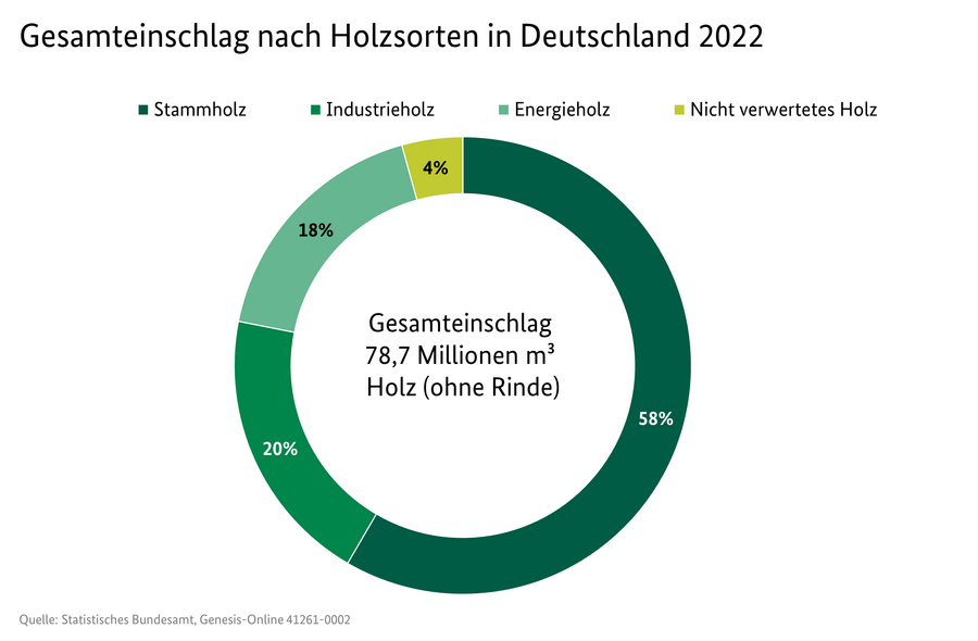Kreisdiagramm: Gesamteinschlag nach Holzsorten in Deutschland 2022: insgesamt 78,7 Millionen m³ Holz (ohne Rinde). Stammholz 58 %, Industrieholz 20 %, Energieholz 18 %, nicht verwertetes Holz 4 %.