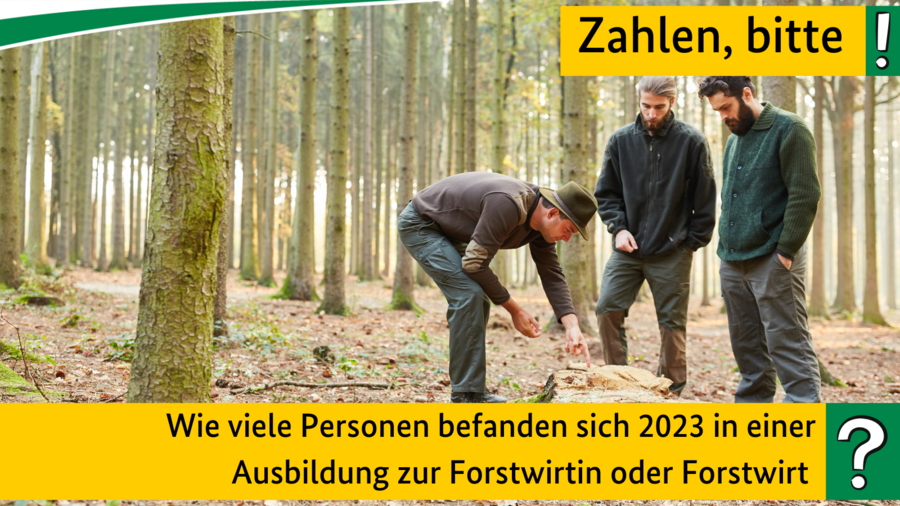 Quiz Oktober 2024
