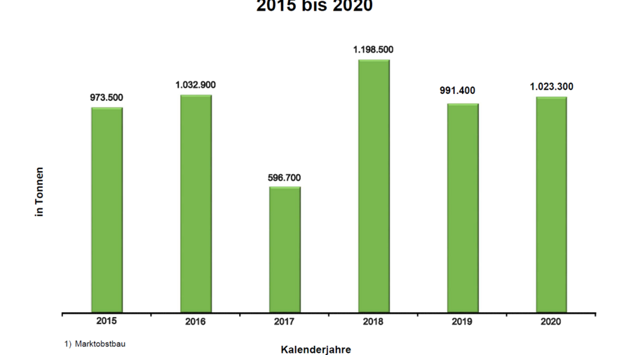 Ein Säulendiagramm veranschaulicht die Erntemenge von Äpfeln in Deutschland von 2015 bis 2020.