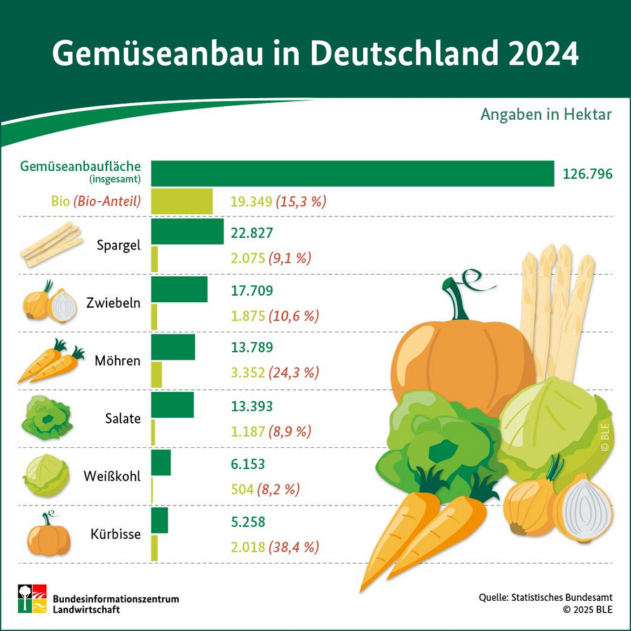 Balkendiagramm: Gemüseanbau in Deutschland 2024