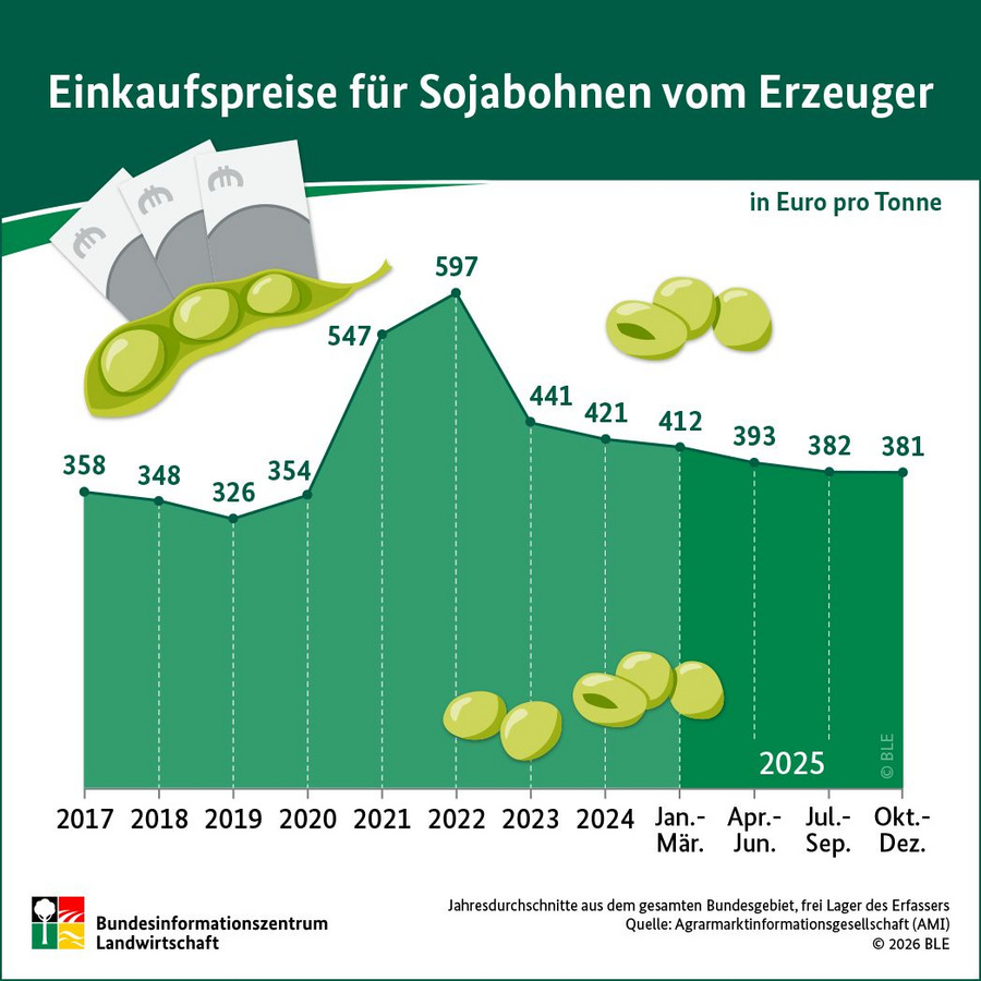 Infografik: Einkaufspreise für Sojabohnen vom Erzeuger