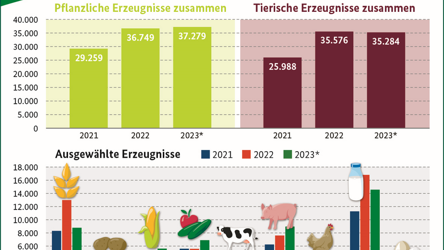 Drei Säulendiagramme des landwirtschaftlichen Produktionswertes für die Jahre 2019 bis 2021. Aufgezeigt werden die Produktionswerte für pflanzliche- und tierische Erzeugnisse. Die Daten stammen aus der Tabelle Produktionswert der Landwirtschaft.