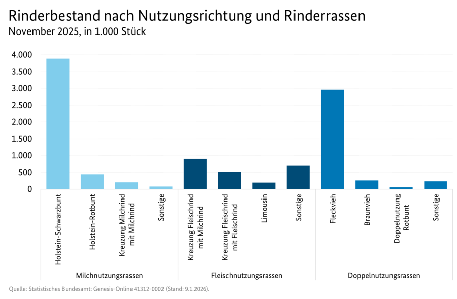 Säulendiagramm: Rinderbestand nach Nutzungsrichtung und Rinderrasse in Deutschland (November-Erhebung). Quelle: Tabelle 3100920-0000.