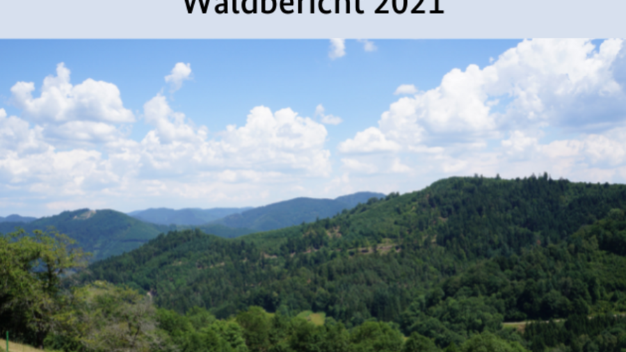 Überschrift: Waldbericht 2021. Abgebildet ist eine bergige Waldlanschaft.