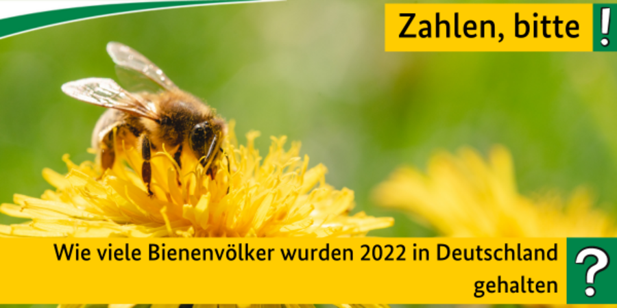 Biene auf einer Blume