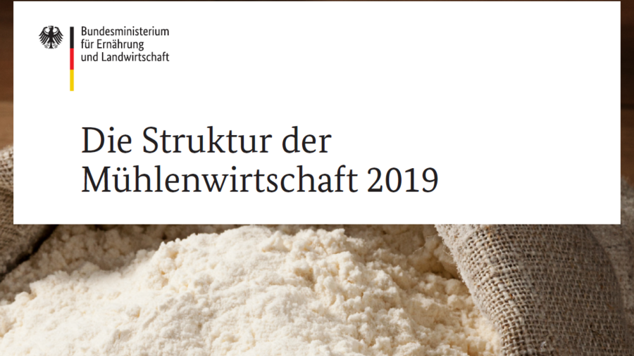 Titelblatt der Broschüre Struktur der Mühlenwirtschaft