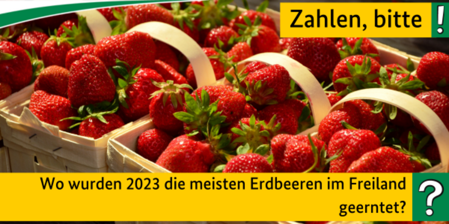 Erdbeeren