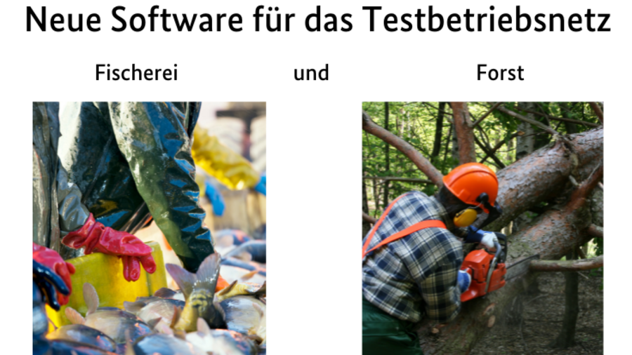 Fischwirt und Forstwirt beim ausführen ihres Berufes