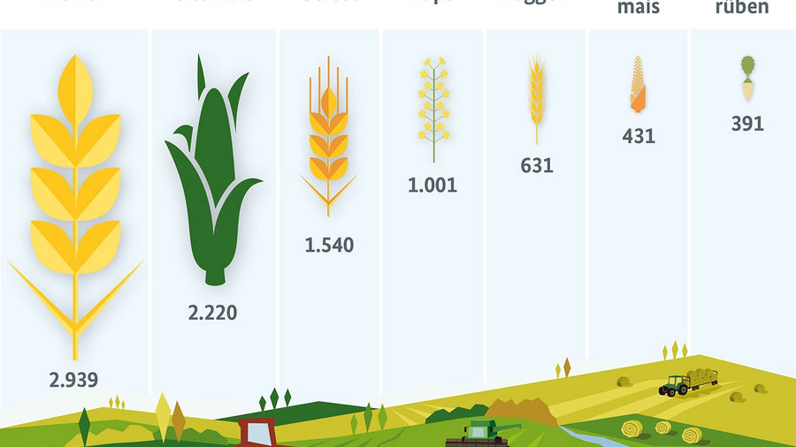 Infografik: Was wächst auf Deutschlands Feldern? Angaben zu den wichtigsten Kulturpflanzen. Quelle: SJT-3072200