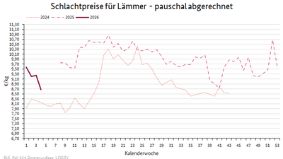 Liniendiagramm: Preisverlauf Schlachtpreise für Lämmer - pauschal abgerechnet