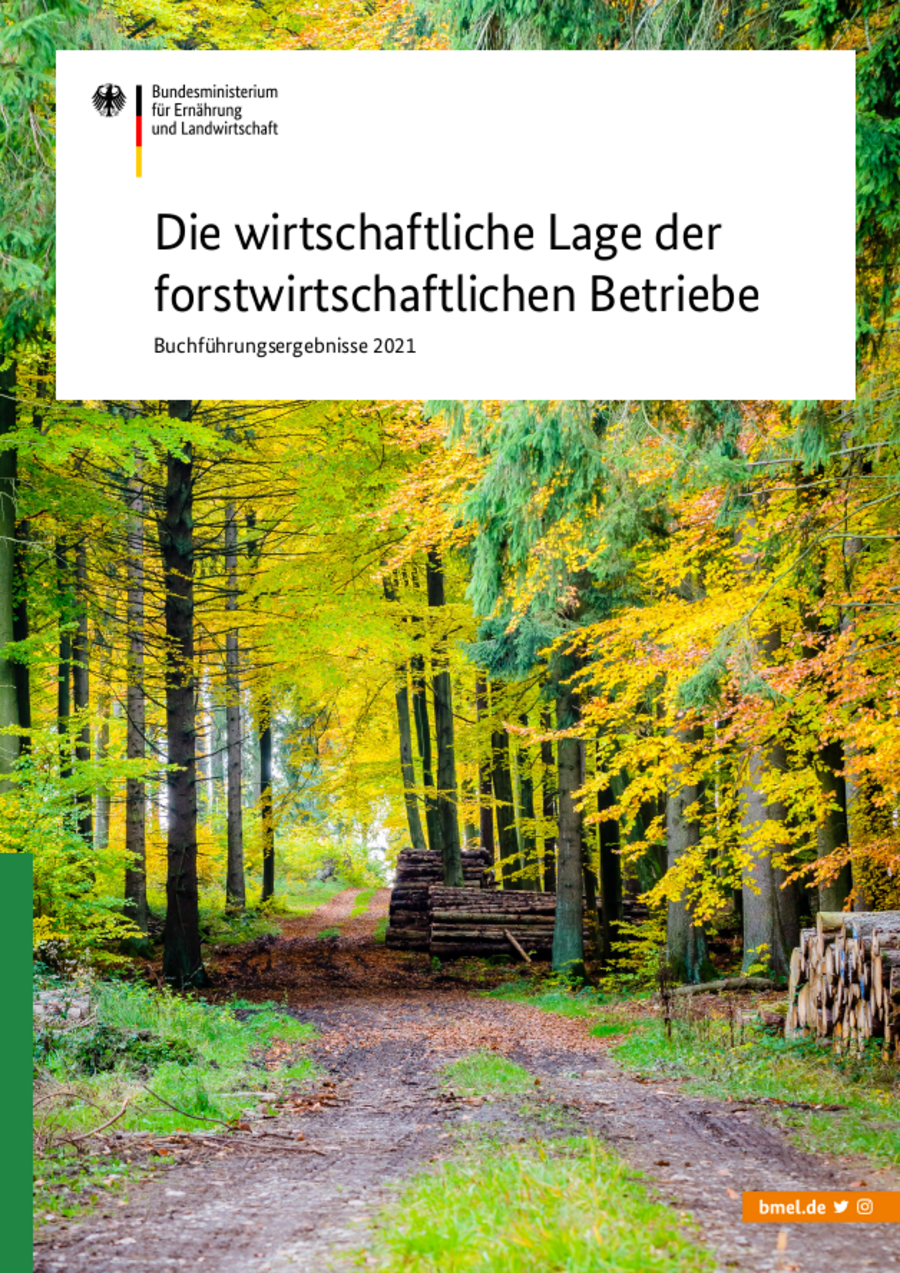 Titelblatt der Broschüre: die wirtschaftliche Lage der forstwirtschaftlichen Betriebe. Zu sehen: Waldweg in einem Mischwald. 