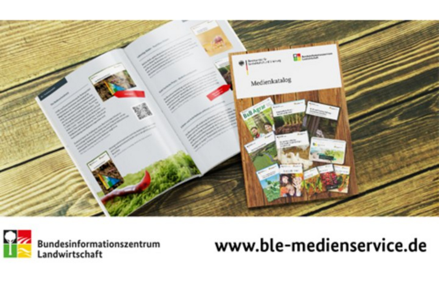 Broschürentitel