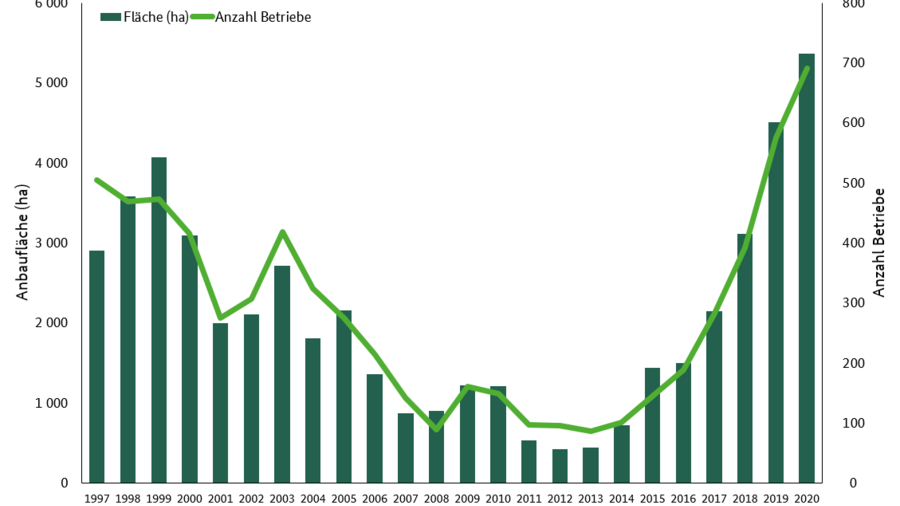 Diagramm zeigt die Anbaufläche und die Anzahl von Betrieben die Nutzhanf in Deutschland anbauen. Die Daten können der Jahrbuchtabelle SJT-3070900-0000 entnommen werden. 