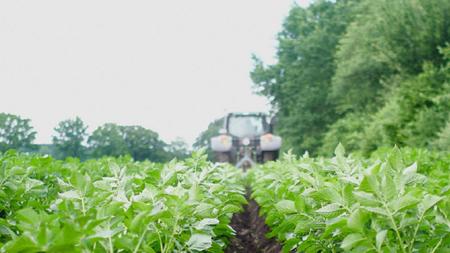 Broschüre Die wirtschaftliche Lage der landwirtschaftlichen Betriebe 2021/22