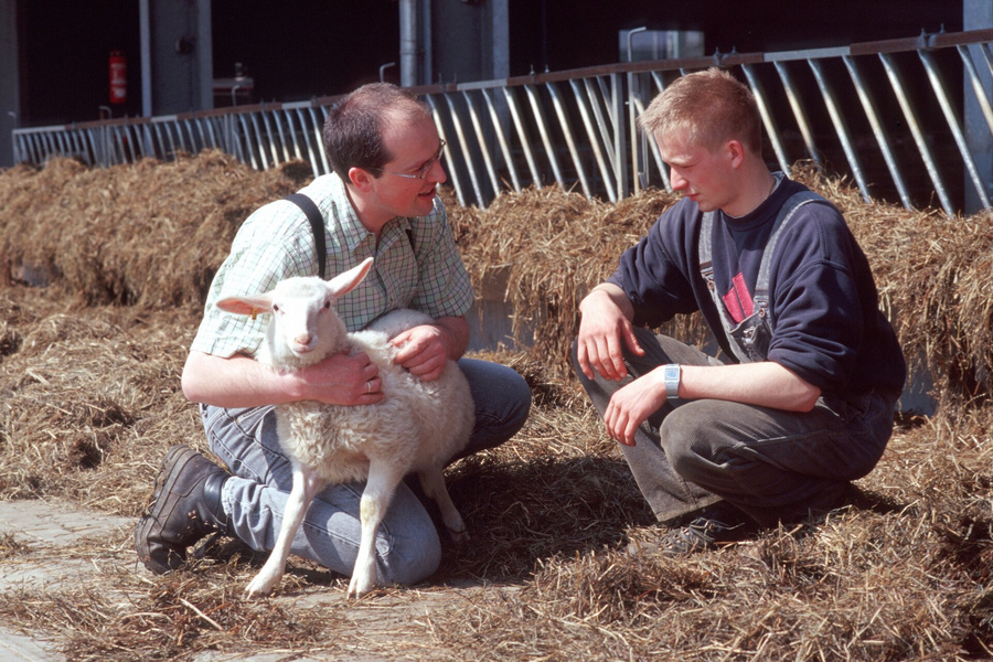Ausbildung in den Grünen BErufen Landwirt und Auszubildener mit Lamm