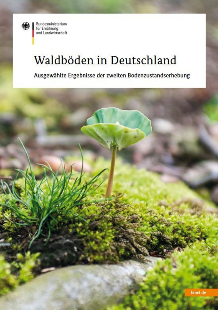 Titelbild der Broschüre: Waldböden in Deutschland - Ausgewählte Ergebnisse der zweiten Bodenzustandserhebung. Zu sehen ist Boden mit Moos und Gras.