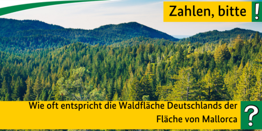Quiz Zahlen bitte! Wie oft entspricht die Waldfläche Deutschlands der Fläche von Mallorca?