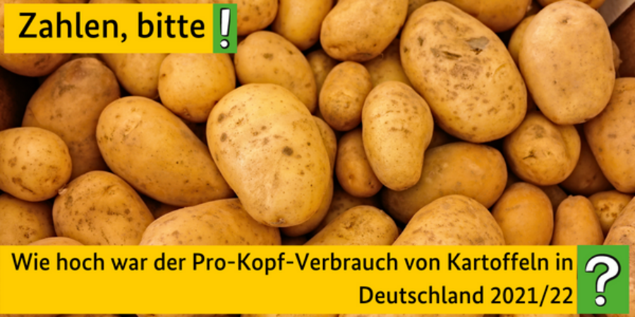Wie hoch war der Pro-Kopf-Verbrauch von Kartoffeln in Deutschland 2021/22?