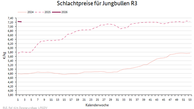 Liniendiagramm: Preisverlauf Schlachtpreise für Jungbullen R3