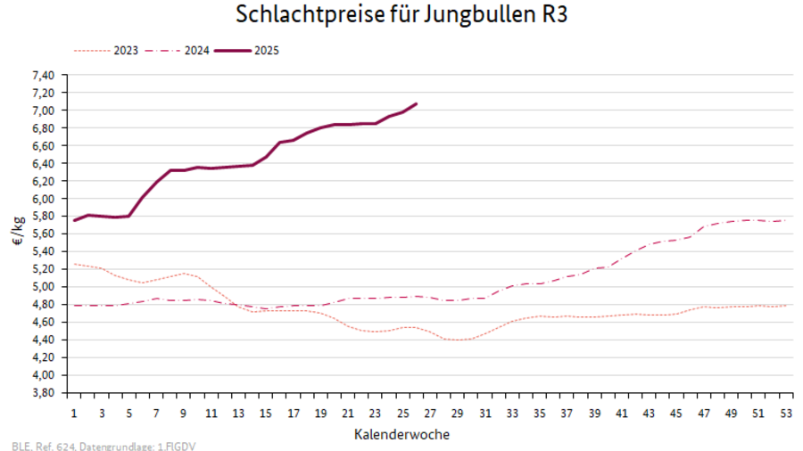 Preisverlauf Schweine E