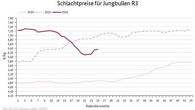 Liniendiagramm: Preisverlauf Schlachtpreise für Jungbullen R3