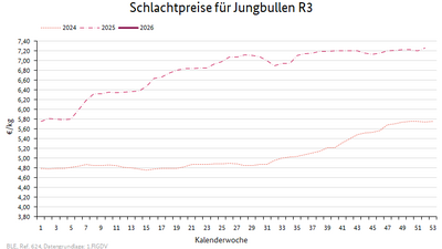 Liniendiagramm: Preisverlauf Schlachtpreise für Jungbullen R3