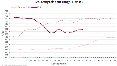 Liniendiagramm: Preisverlauf Schlachtpreise für Jungbullen R3