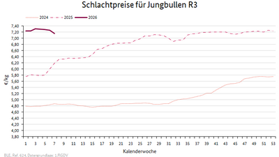 Liniendiagramm: Preisverlauf Schlachtpreise für Jungbullen R3