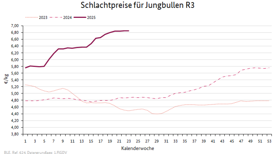 Preisverlauf Schweine E