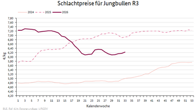 Liniendiagramm: Preisverlauf Schlachtpreise für Jungbullen R3