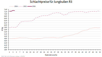 Liniendiagramm: Preisverlauf Schlachtpreise für Jungbullen R3