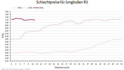Liniendiagramm: Preisverlauf Schlachtpreise für Jungbullen R3