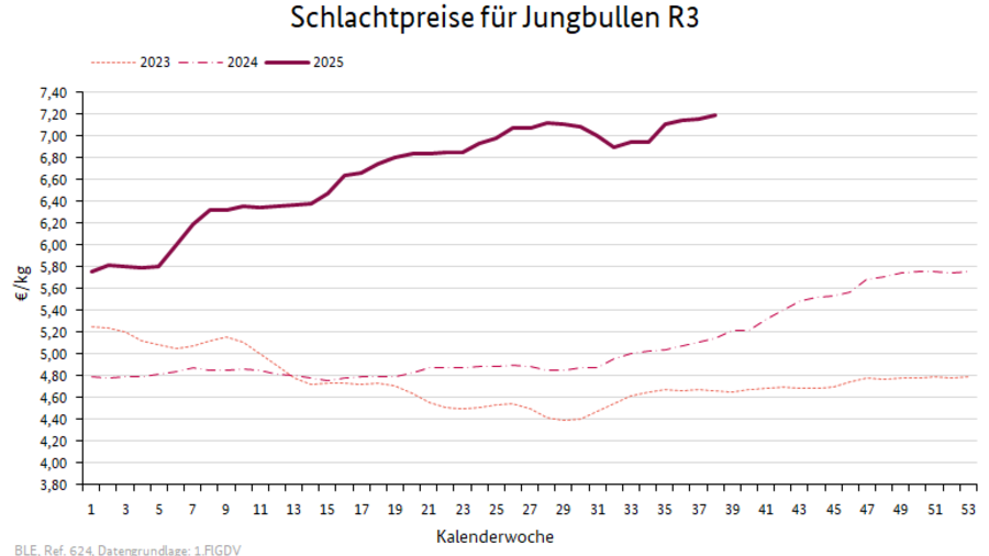 Preisverlauf Schweine E