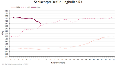 Liniendiagramm: Preisverlauf Schlachtpreise für Jungbullen R3