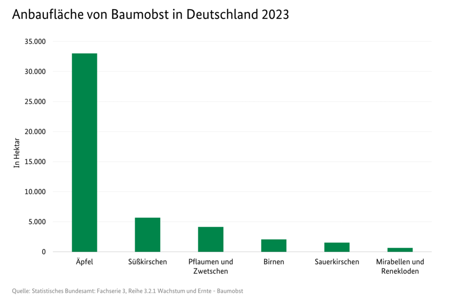 Säulendiagramm: Anbaufläche von Baumobst in Deutschland 2023. Datenquelle: 3081400-0000