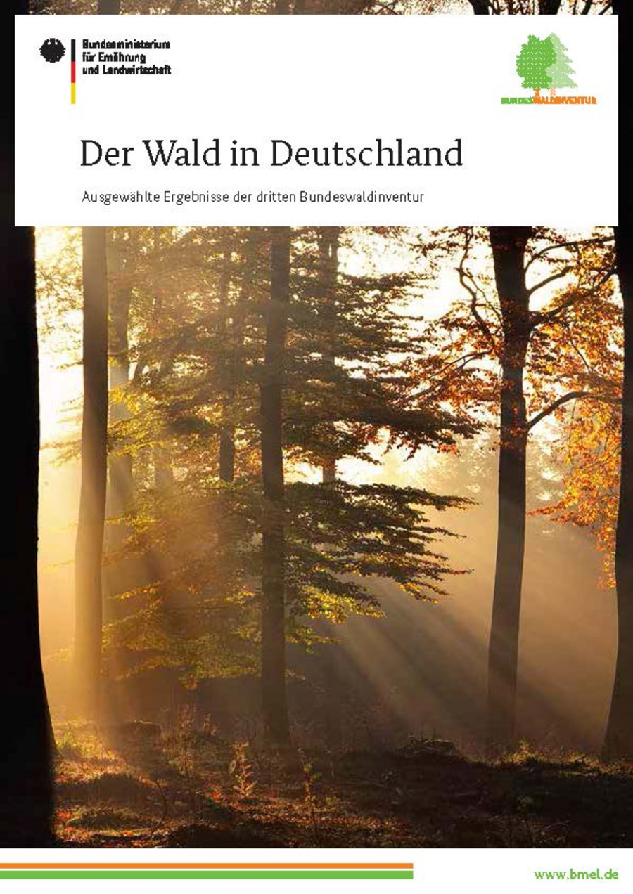 Titelblatt der Broschüre. zu sehen: Lichteinfall im Wald.