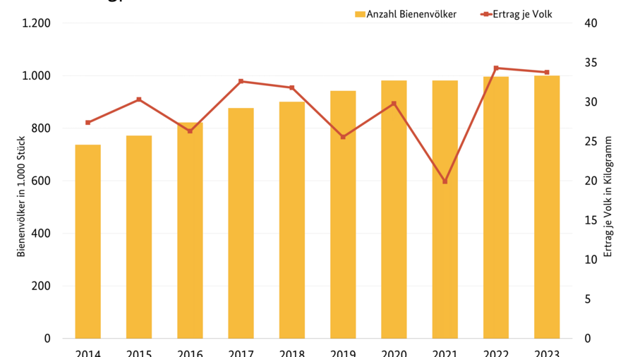 Linien-Säulendiagramm der Honigproduktion in Deutschland für den Zeitraum 2011 bis 2021. Dargestellt werden Anzahl Bienenvölker und Ertrag je Volk. Daten können der Tabelle SJT-4030500-0000.xlsx Versorgung mit Bienenhonig entnommen werden.