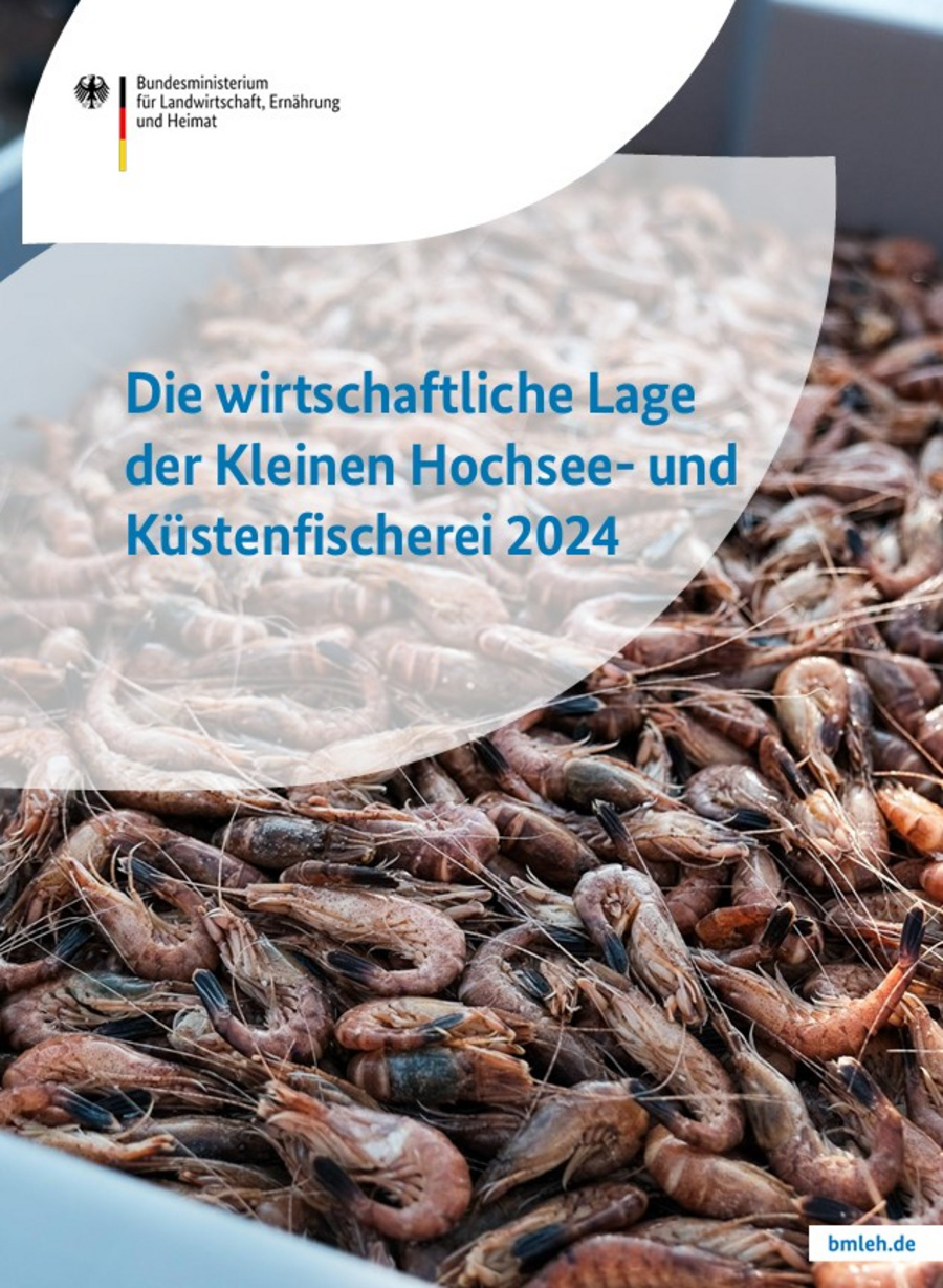 Cover der Broschüre "Die wirtschaftliche Lage der Kleinen Hochsee- und Küstenfischerei 2024. Zu sehen sind Garnelen.