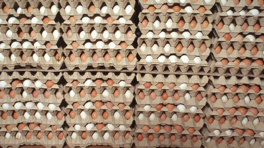 Braune und weiße Eier in Kartons gestapelt